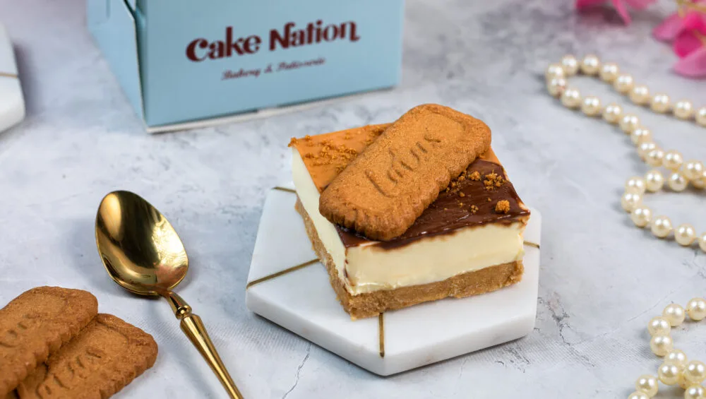 Lotus Biscoff Nutella Cheese Cake Slice